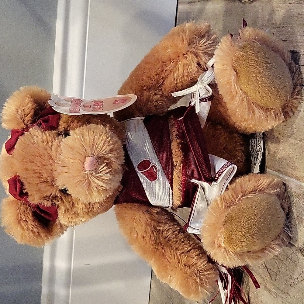 Cheer teddy bear